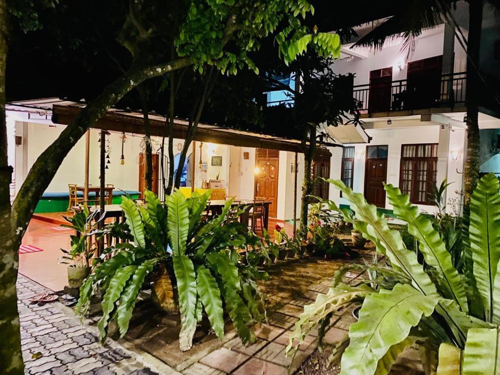 Gihan Guesthouse Mirissa Extérieur photo